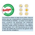 Promo Sdmo – Groupe électrogène Pro 2000W – Inverter Pro 2000 – Image 3